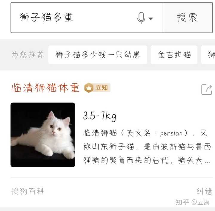 我家秤坏了,好久没量猫咪们的体重了,我家狮子猫妹妹快两岁了应该不到