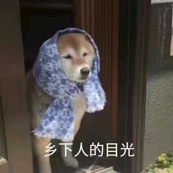 仙女退出群聊专用 只要坚持使用,你就能成为一名众所皆知的沙雕