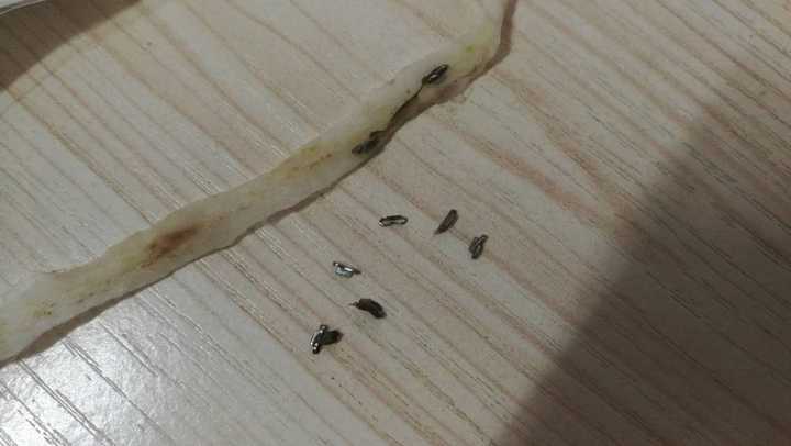 包皮环切手术是什么样的体验?