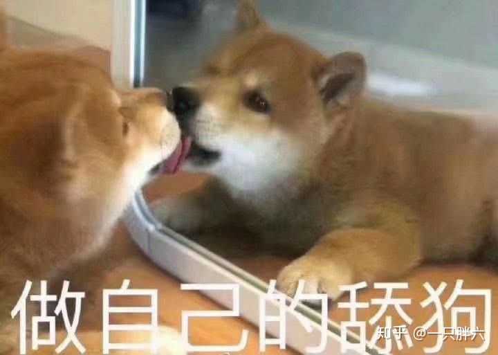 我感觉我活着就是为了收藏沙雕表情包 嘻嘻……嘻……嘻嘻 多图预警!
