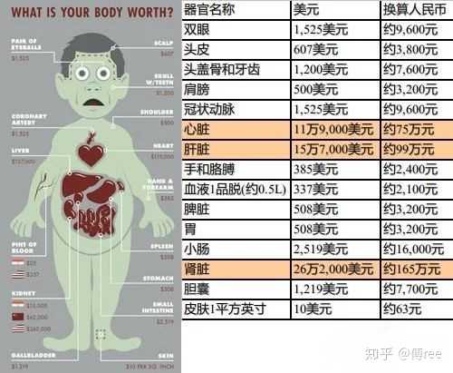 下面是身体各器官图,2015年美国medical transcription网站发布