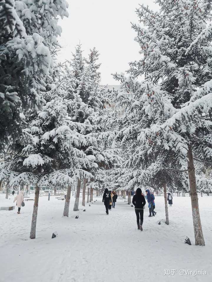 南方孩子来到哈尔滨拍的雪景
