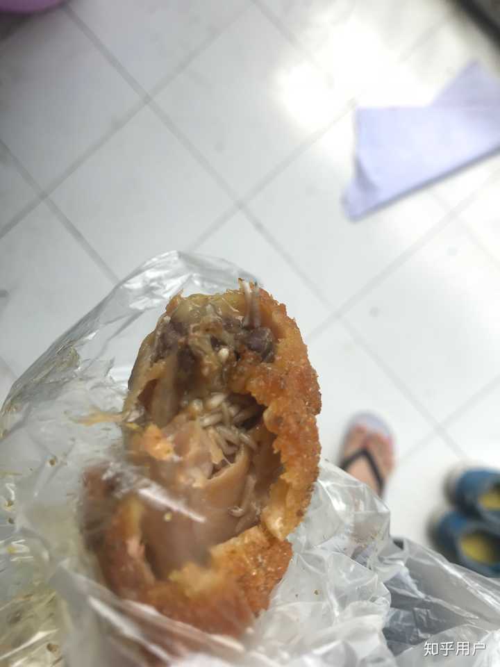吃到蛆的心路历程?