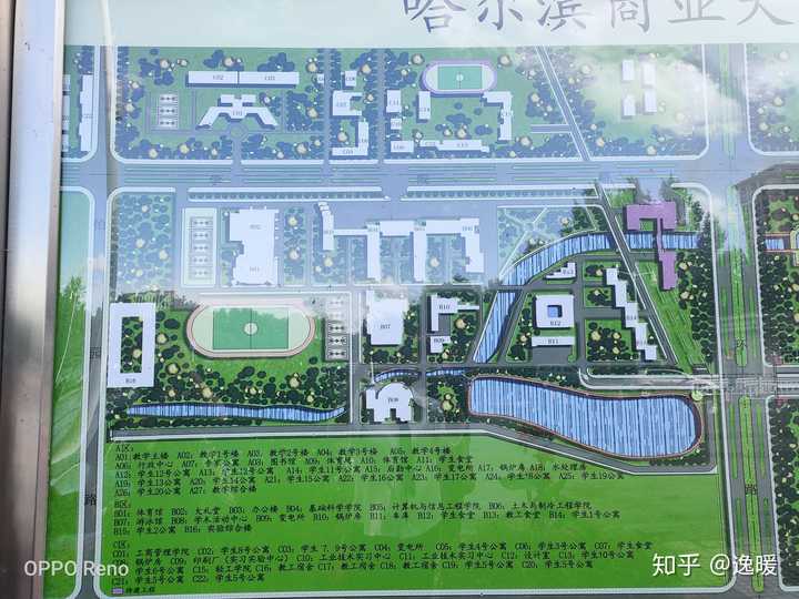 哈尔滨商业大学的校园环境如何?