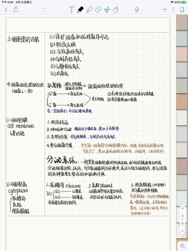 康奈尔笔记法吧 荧光笔我一般喜欢浅色的