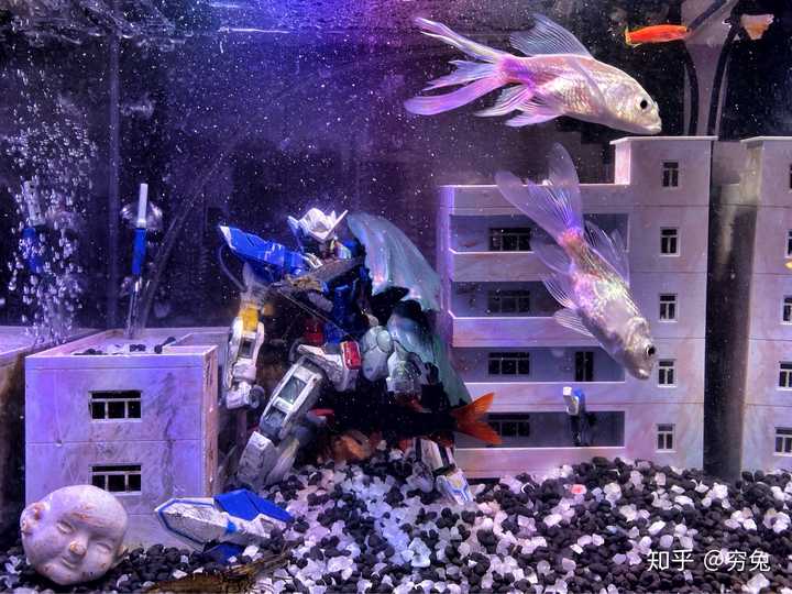 鱼缸里放高达模型对鱼有影响吗?