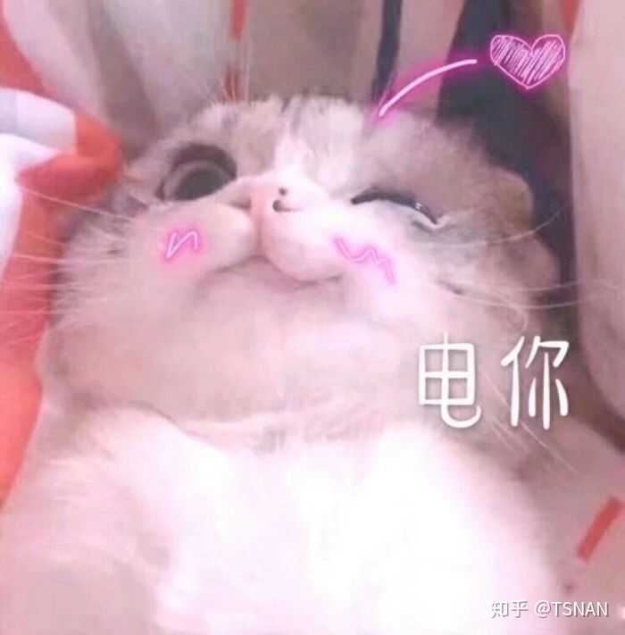 有哪些适合情侣之间的表情包?