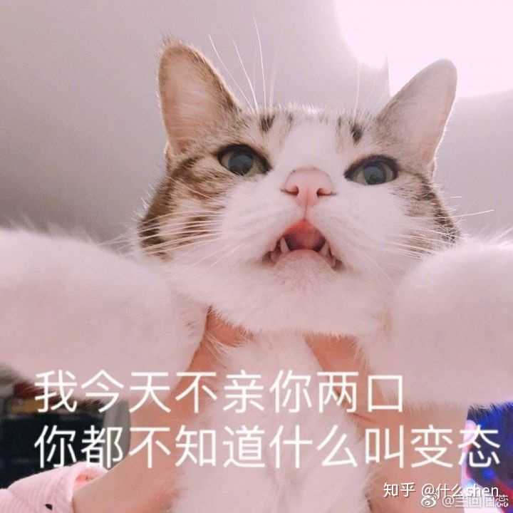 撩我家狗子的不知不觉间存了好多图,(小套路中参杂些许去幼儿园的车