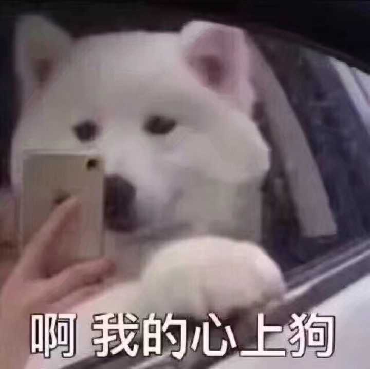记忆最深刻的一次"欣喜若狂",是怎样的故事?有多开心呢?
