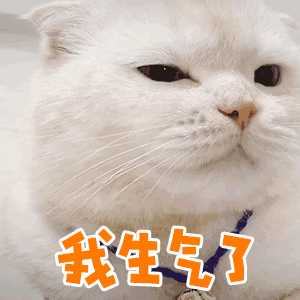 请问有没有超级萌的猫咪表情包?