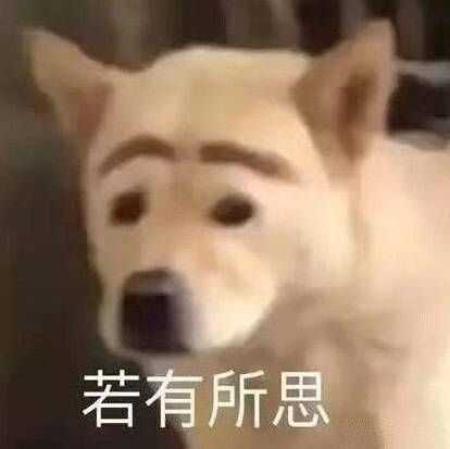 有哪些沙雕表情包?