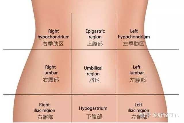 其实,腰腹部瘦不下来有很多的原因,腰腹部不同的肉肉瘦不下来的原因