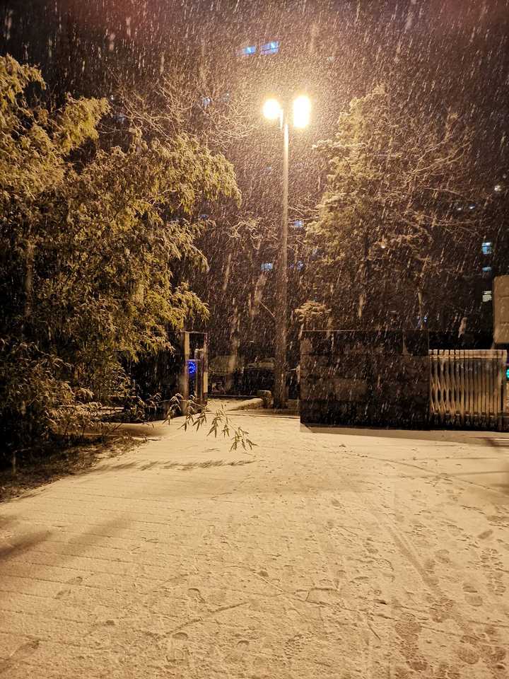 北师大南门的雪夜