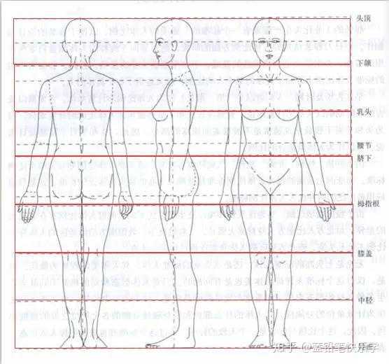 目前还存在很多其他头身比例的说法(这个没有死规定,由个人的能力和