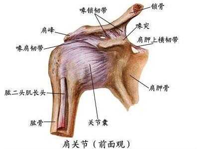 如果确认是肩峰撞击的问题就可以尝试用以下的方法去改善这个问题