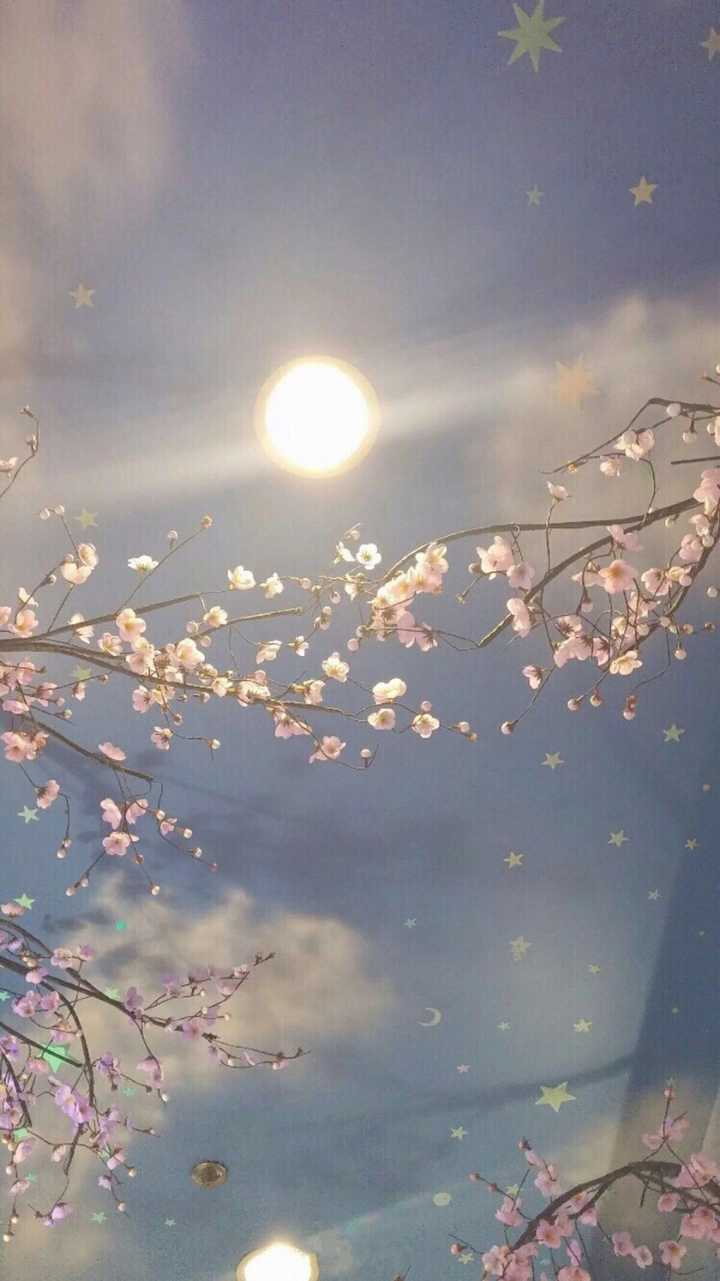 你会因为什么更换手机壁纸?