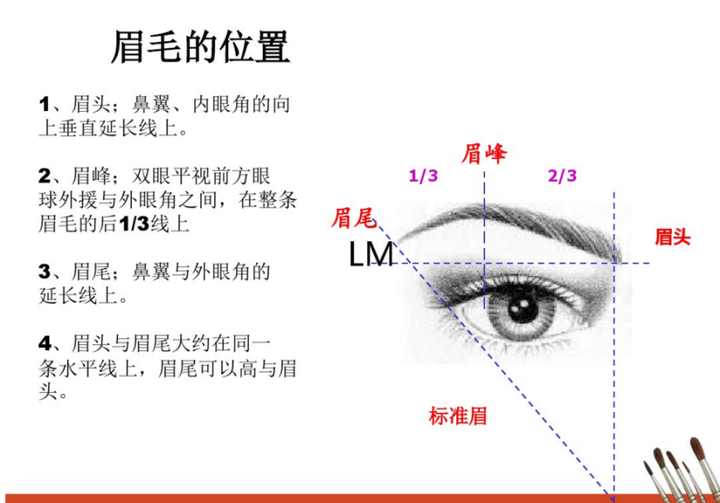3.设计眉形,确定眉形(根据顾客喜好,五官,职业,年龄及要求设计)