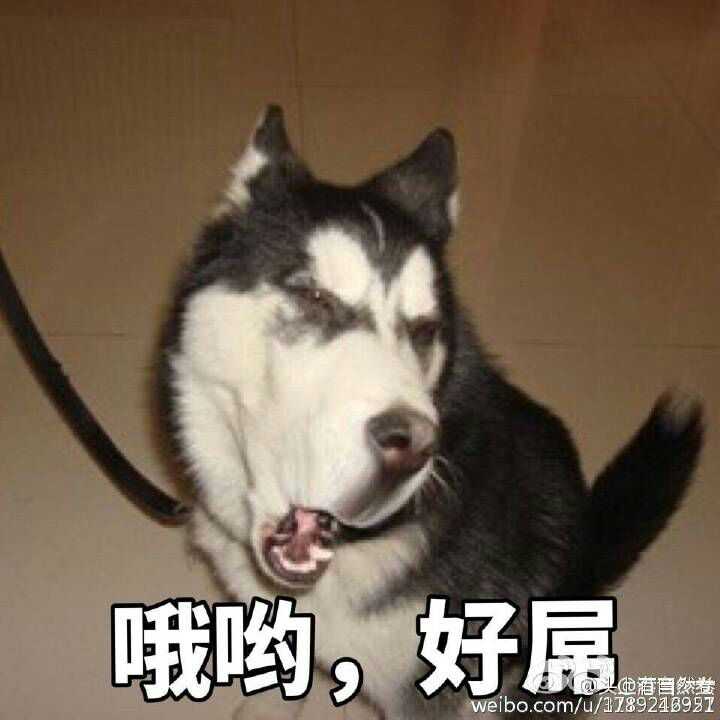 有哪些气质猥琐的动物