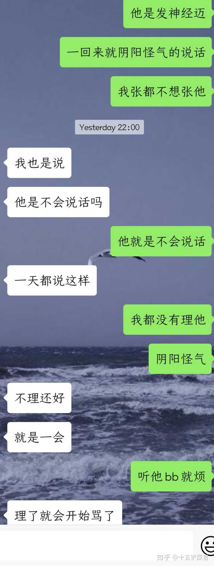 我和我弟的聊天记录