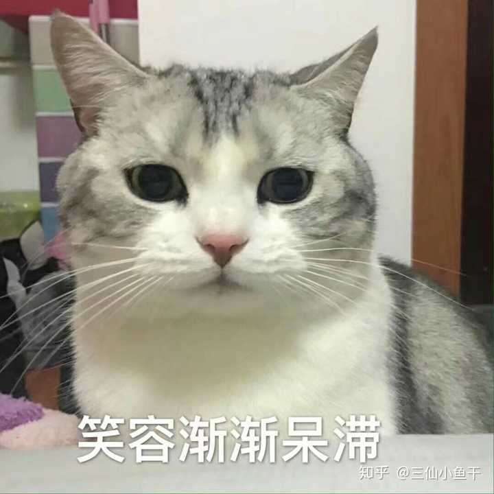 你被人误会的最尴尬的一件事是什么?