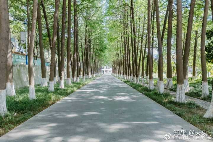 信阳师范学院的校园环境如何?