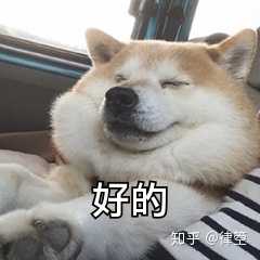 有哪些用来回答 可以或者嗯嗯或者ok或者点头 的表情包?