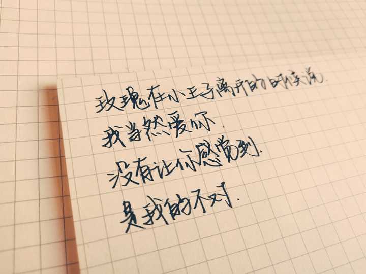玫瑰在小王子离开的时候说:  我当然爱你,没有让你感觉到,是我的不对.