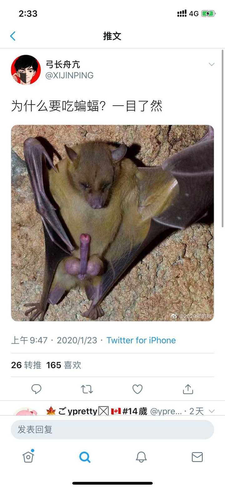 得多馋才会去吃蝙蝠?