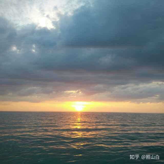 我朋友圈的长辈和老师们用的头像 总结一下～ 花花草草 阳光沙滩 海浪
