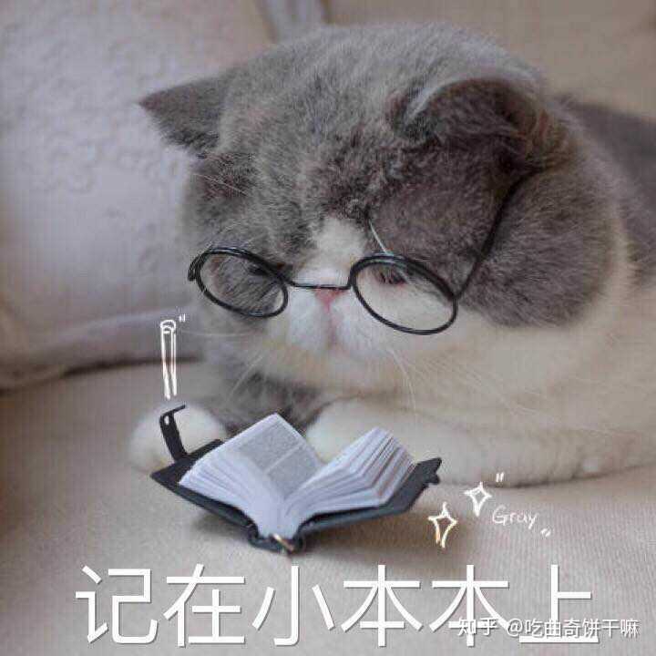 另,这只猫是什么品种啊,感觉是比大橘还肥……不对,是丰腴