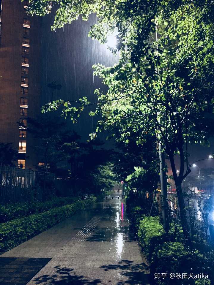 有哪些关于夜雨的句子或音乐或图片?