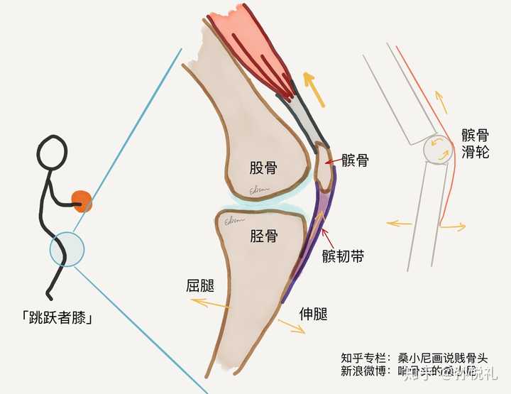 最近膝盖关节部位又开始痛了,请问有没有好的治疗方式?