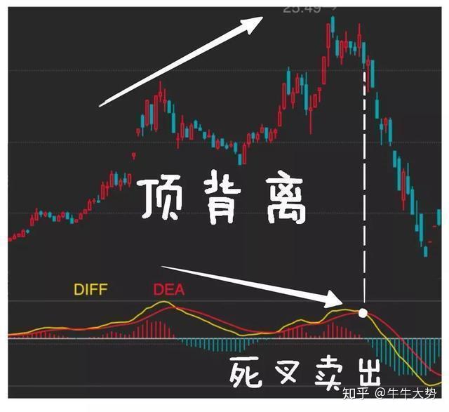 比特币分时线怎么看_币看比特币实时行情_比特币最新走势图k线