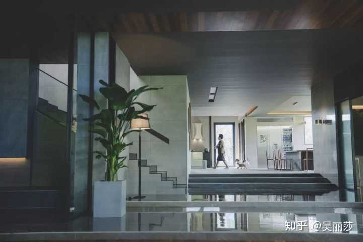 看完韩国电影《寄生虫》你有什么想法?