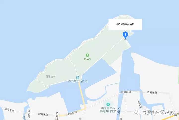 烟台市环境保护局对烟台各大浴场的水质监测,养马岛海水浴场,水质优