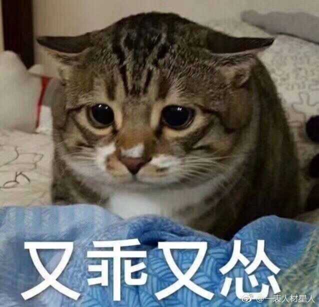 难道沙雕猫猫不可爱吗?