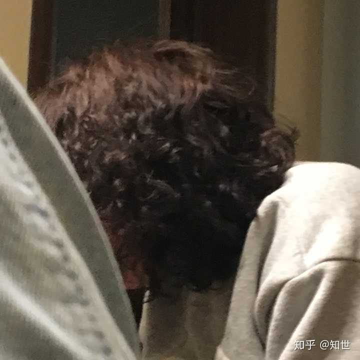 你们烫的羊毛卷是什么样的?