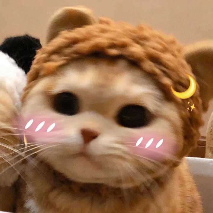 有哪些搞怪好玩的闺蜜头像?