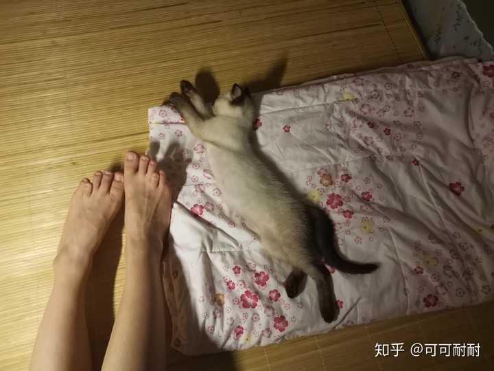 请问大概有多少人是先天性的第四脚趾短小症呢?