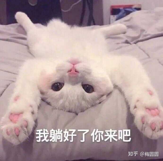 你们撩对象都用什么表情包啊～?