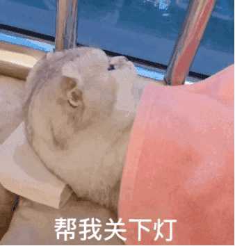 心情不好,可以给我发一些可爱的猫咪图片吗?