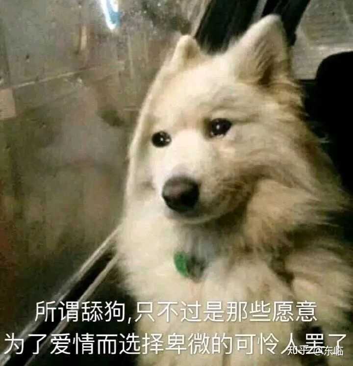 舔狗到底有多么卑微?