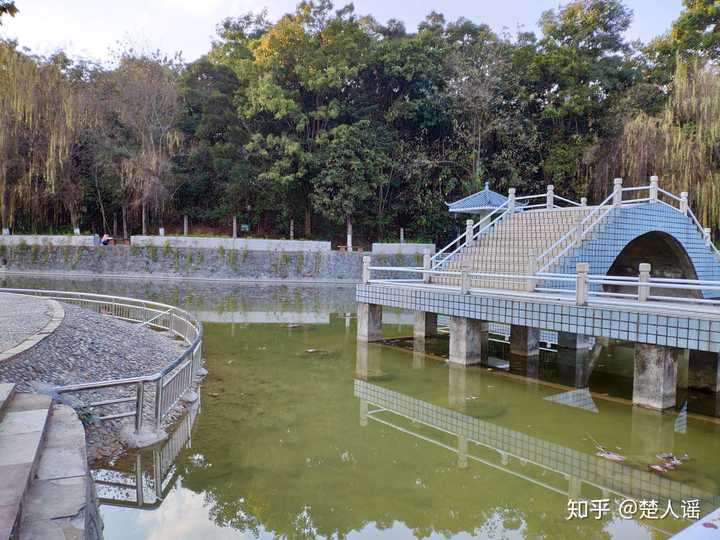 如何综合评价四川攀枝花学院?