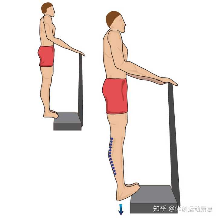 heel drop(拉伸小腿三头肌)