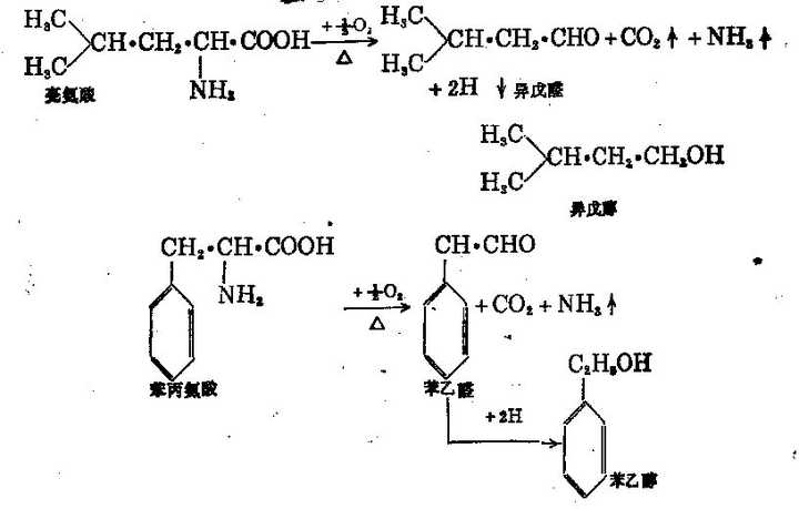 如亮氨酸生成异戊醛,异戊醇;苯丙氨酸