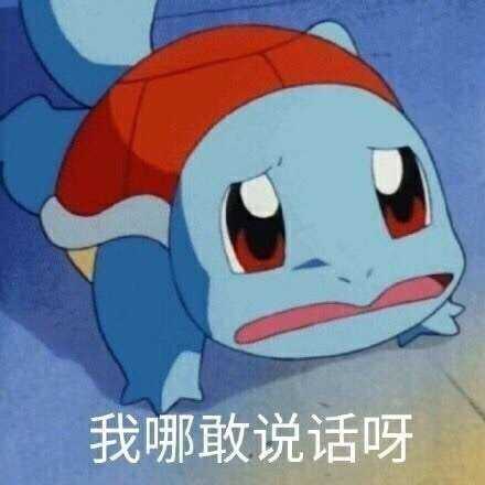 图片均取与网上,侵权一定联系我马上删除  先上一波杰尼龟,冲冲冲!