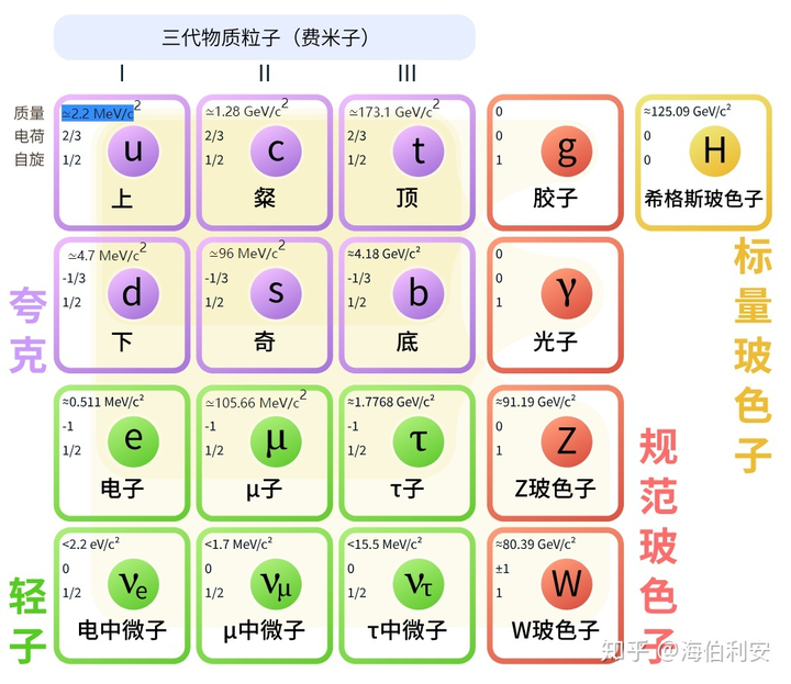 标准模型的基本粒子分类