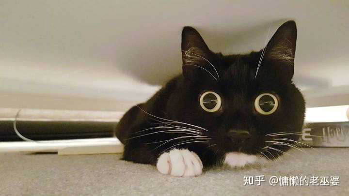 无聊到爆