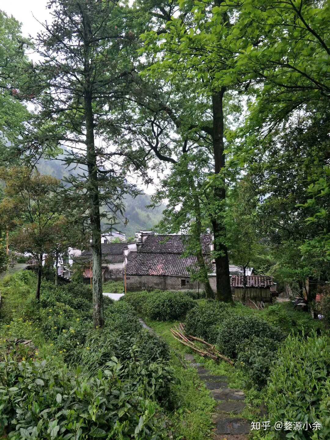 婺源鄣山村的清凉夏日