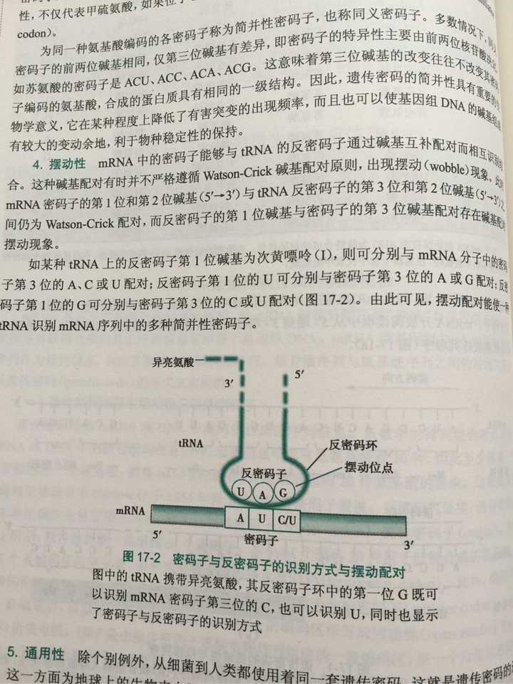 反密码子读取方向按照什么?